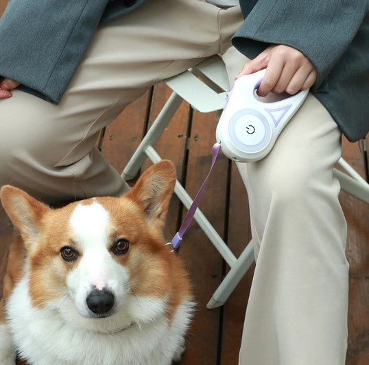 Correa Ergonómica Con Luz Para Mascotas